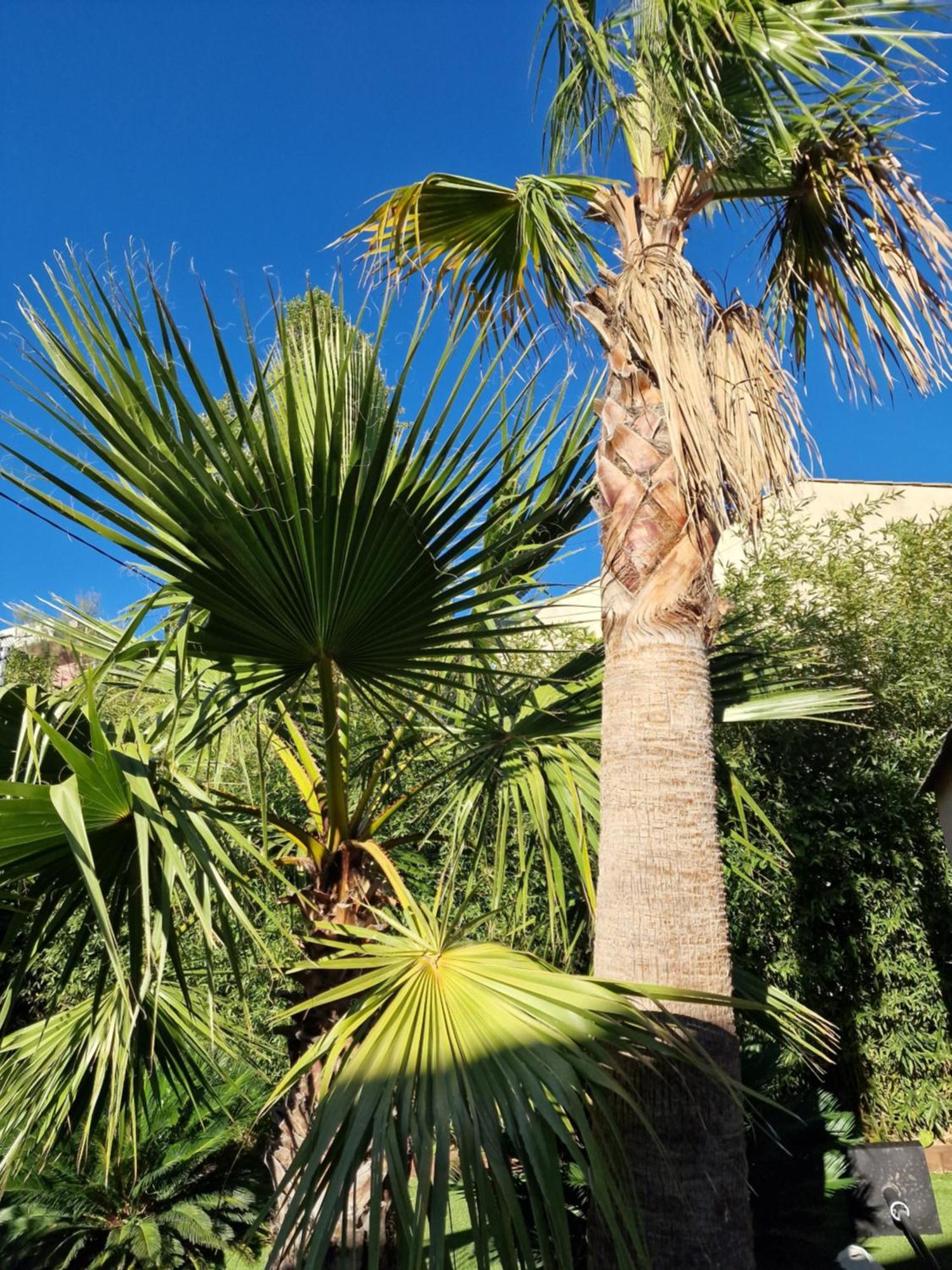 Haut De Villa A 700 Metres De La Plage, Totalement Independant Et Accessible Par Un Escalier Exterieur Sainte-Maxime Luaran gambar